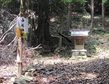 nakao